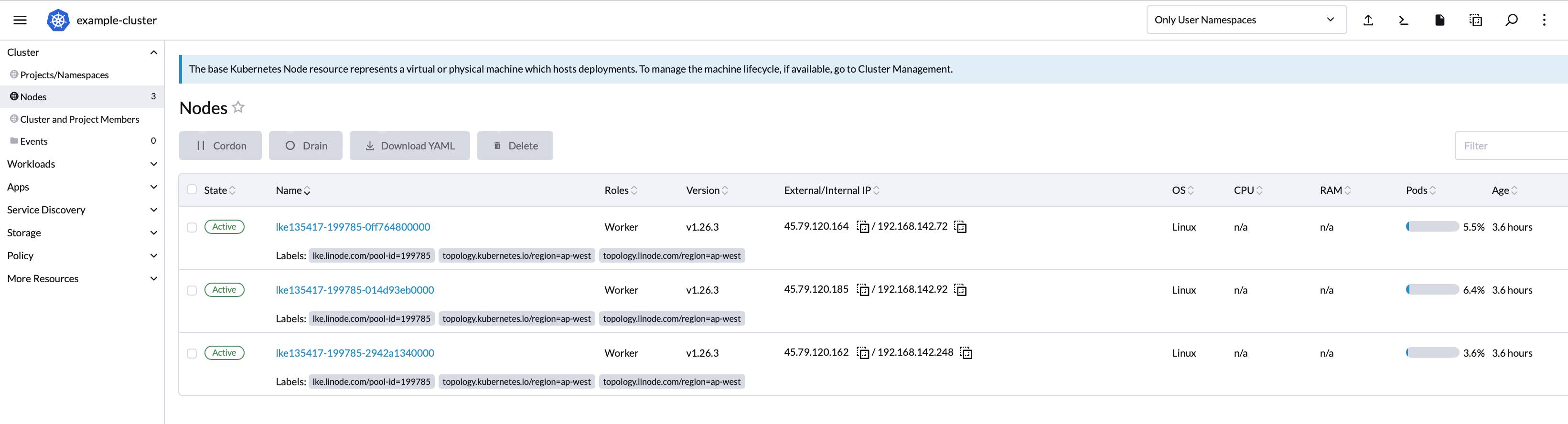 Rancher cluster nodes list - active Rancher cluster nodes list - active